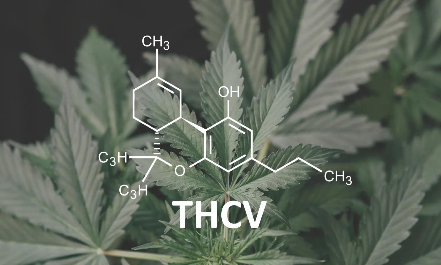 What Is THCv? Legality, Effects, and Products Explained