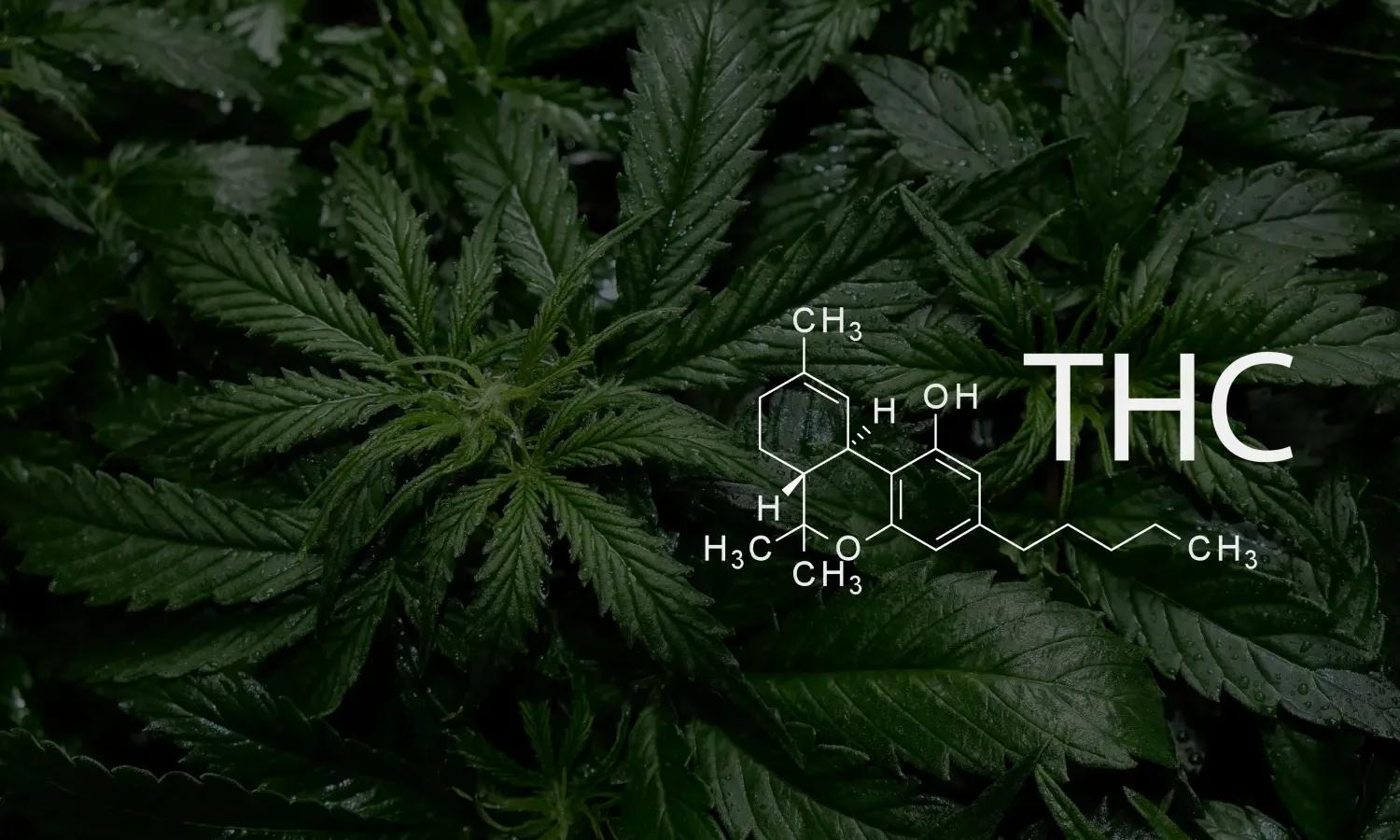 THCa vs THC: Understanding 5 Key Differences