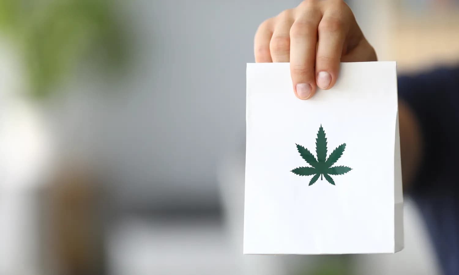 Weed Delivery: How To Order Cannabis Online From Mood