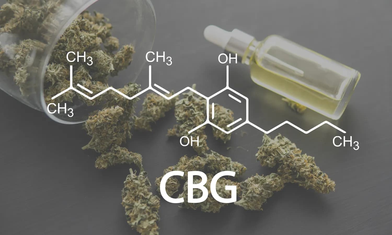 The Mother Of All Cannabinoids: A Guide To CBG