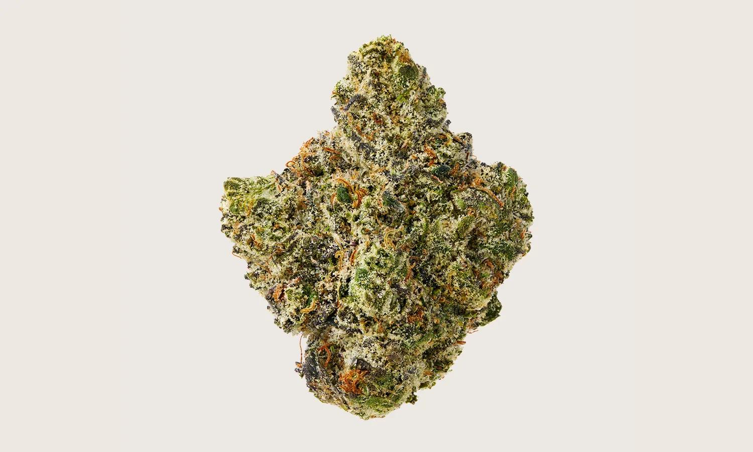 Indica vs Sativa vs Hybrid Effects: 5 Key Differences Explained