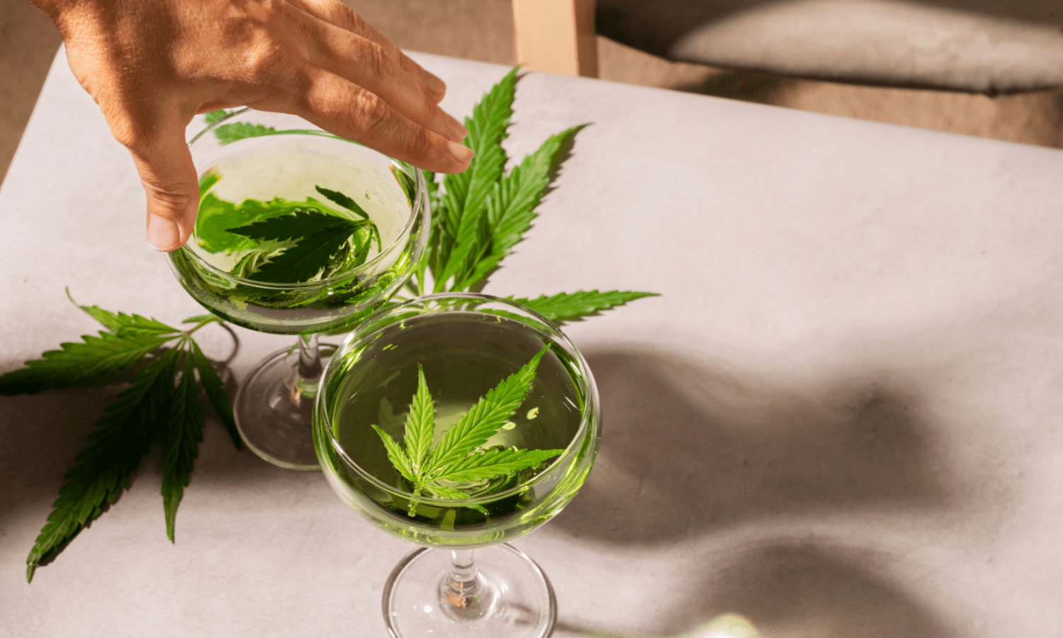 Everything You Need to Know About THC-Infused Drinks